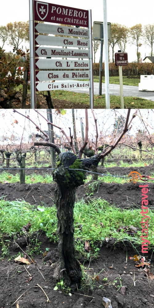 Clos SaintAndré Pomerol 2015 My Tasty Travel Vin rouge Bordeaux