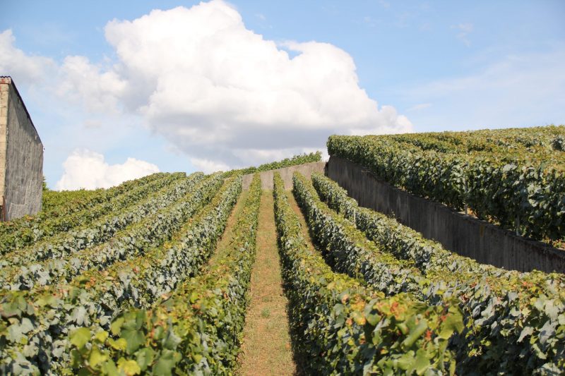 Champagne Briaux Lenique